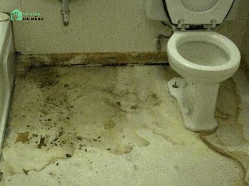 Hiện tượng trào ngược nước thải